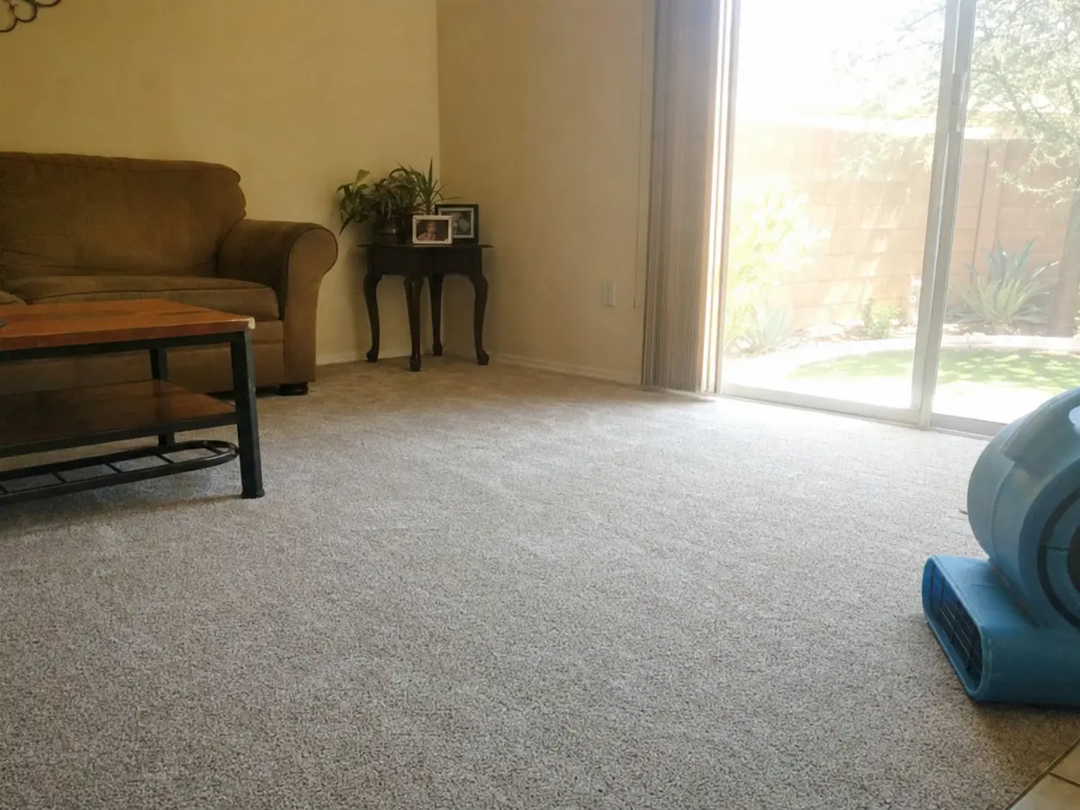 Freshly cleaned carpet with the furniture back in place — completed job in Sun Valley, CA